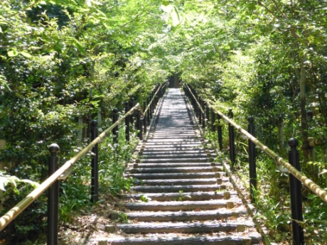 画像61